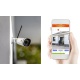 Kit Caméras Surveillance Intelligentes Kiwatch avec 1 intérieure + 1 Extérieure, Full HD, WiFi, Vision Infrarouge, Détecteur 