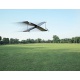 Parrot Swing Mini drone Quadricoptère/Avion pour Smartphone/Tablette Bluetooth 4.0/BLE
