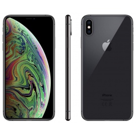 Apple iPhone XS Max 256Go Gris Sidéral  Reconditionné 