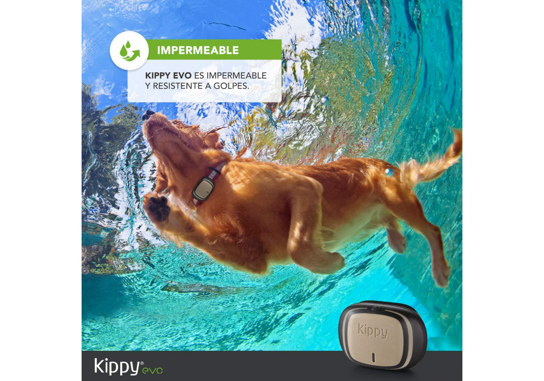 Collier GPS/moniteur d'activité Kippy Evo pour chien et chat