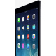 Apple iPad Air 16Go 4G - Gris Sidéral - Débloqué  Reconditionné 