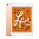 iPad mini Wi-Fi 64GB - Argent