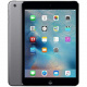 Apple iPad Mini 2 32Go Wi-Fi - Gris Sidéral  Reconditionné 