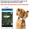 GPS tracker chat chien TKSTAR Mini traceurs GPS anti-perte suivi en temps réel pour petit chat chien enfants parents avec un col