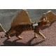 Weenect Cats 1 - collier GPS pour chat
